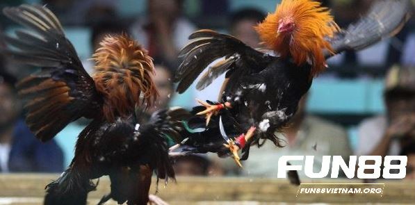 Tích lũy kinh nghiệm cá cược yên tâm lụm thưởng